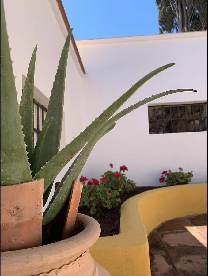 טורמולינוס Novedad Suite Centrico Con Porche Y Jardin 0*,  ספרד