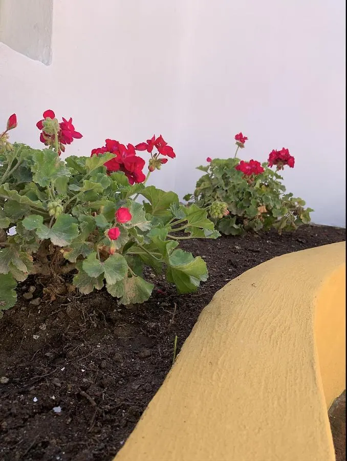 דירה טורמולינוס Novedad Suite Centrico Con Porche Y Jardin
