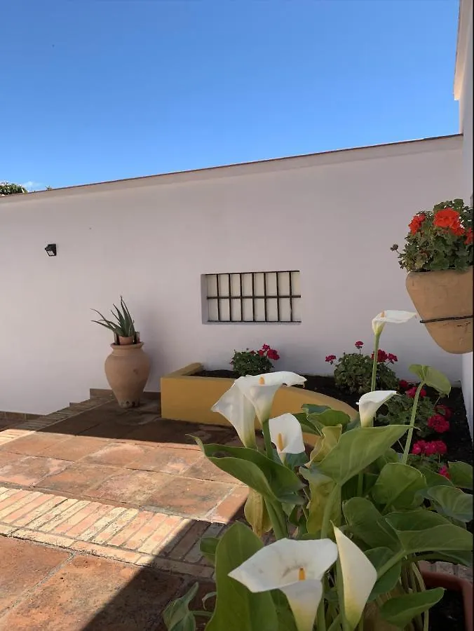 טורמולינוס Novedad Suite Centrico Con Porche Y Jardin 0*,